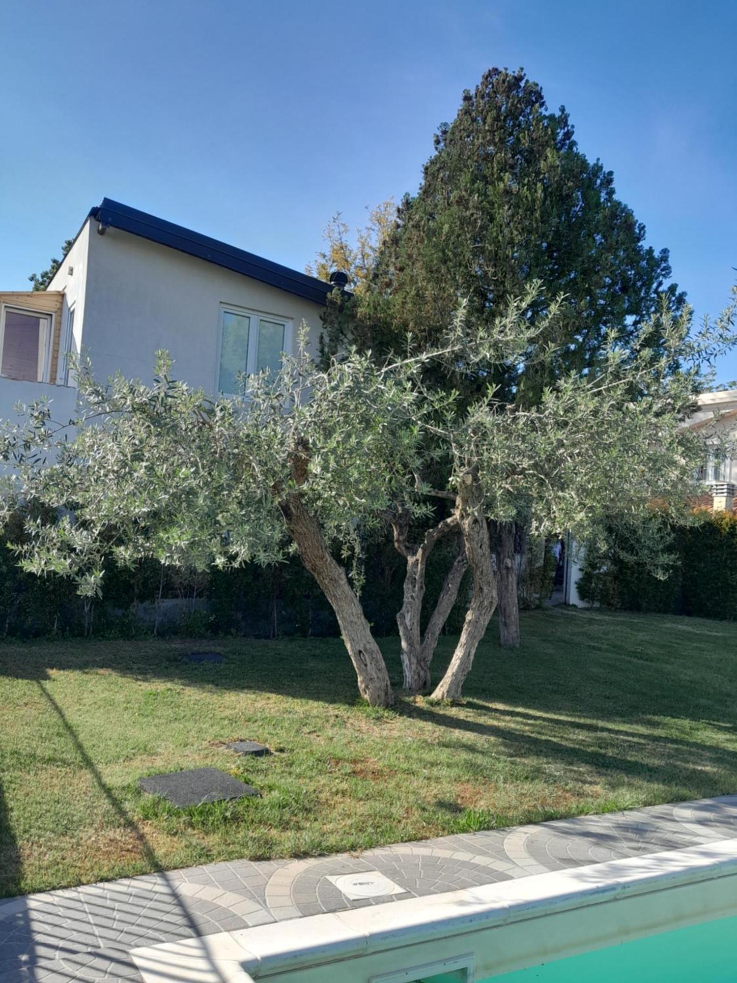 Agri Art Croce Vallone Biancavilla Exterior photo